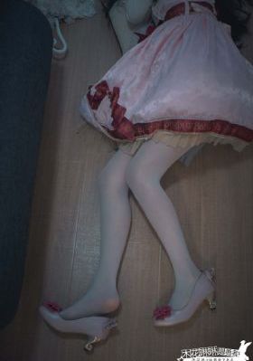 红楼梦2010全集完整版
