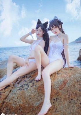 全视频tv