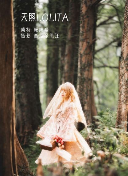 湖南电视台今晚电视节目表