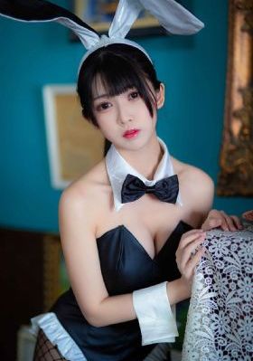 真心英雄电视剧多少集
